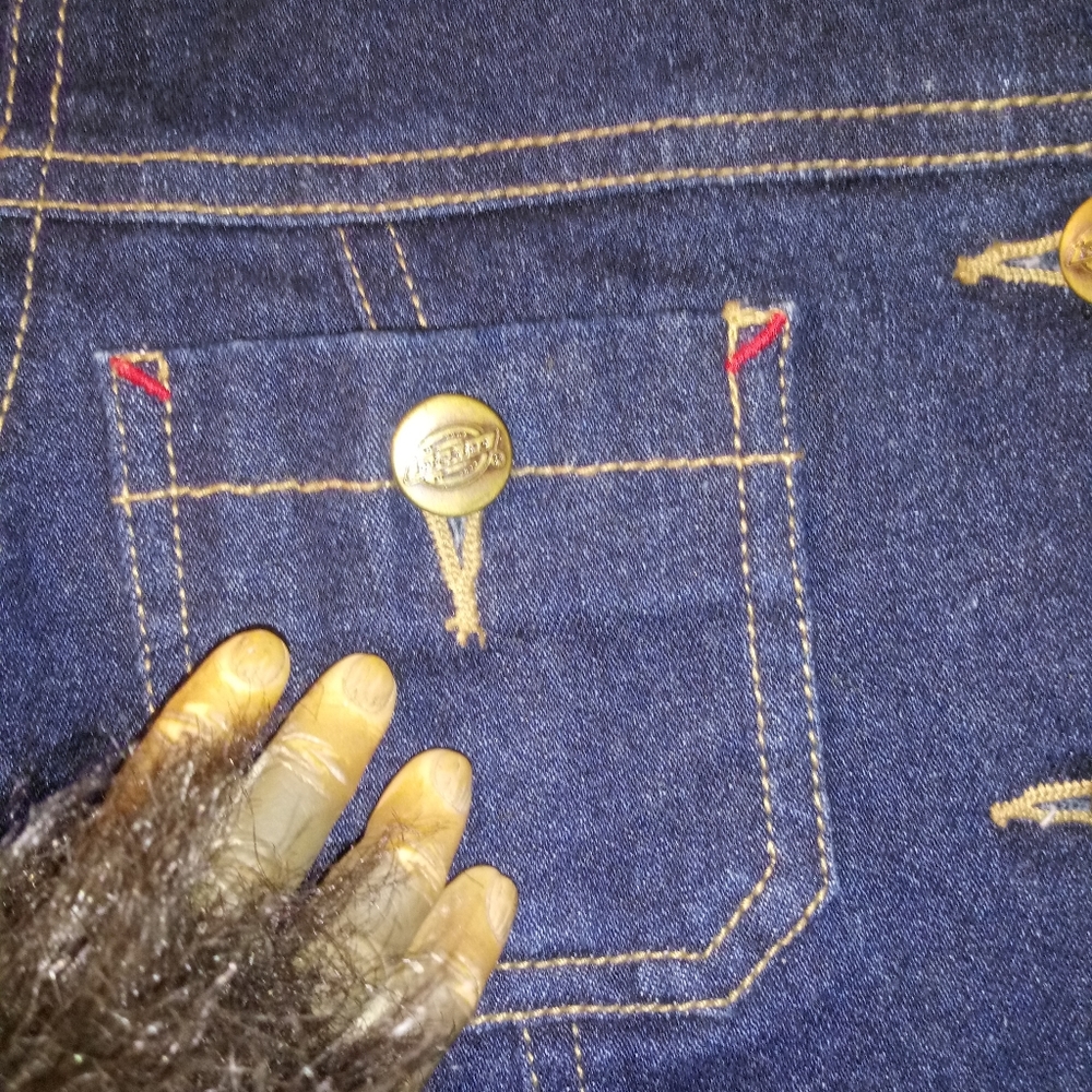Dickies - Picture 3 of 7